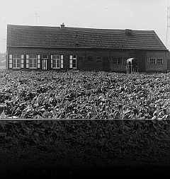 Boerderij in Zoersel